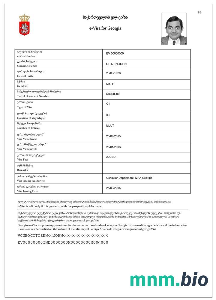 E-visa do Gruzji w pełni edytowalna PSD